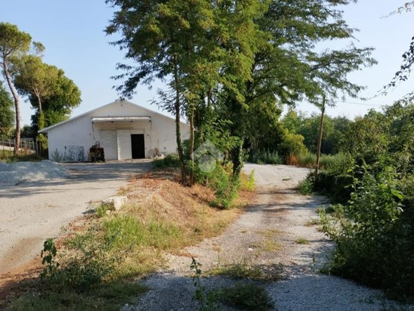 capannone in affitto a Savignano sul Rubicone