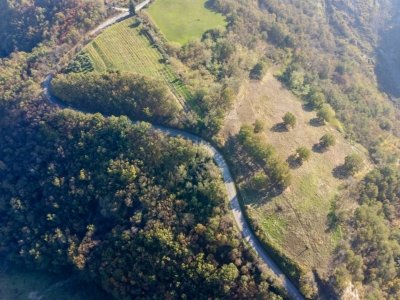 terreno agricolo in affitto a Sogliano al Rubicone in zona Rontagnano