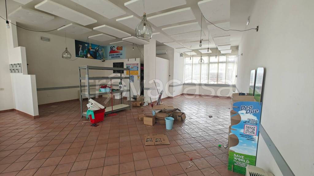 appartamento in affitto a Cartoceto in zona Lucrezia