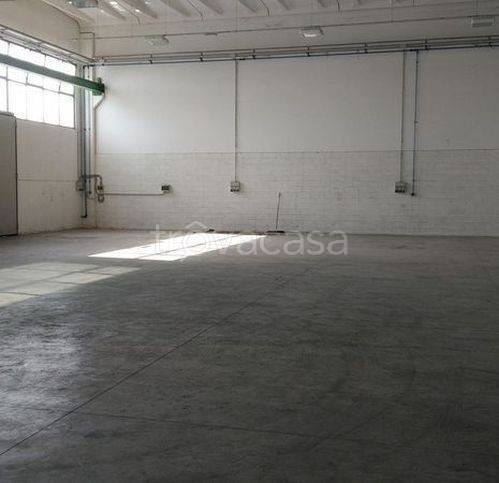 locale commerciale in affitto a Cartoceto in zona Lucrezia