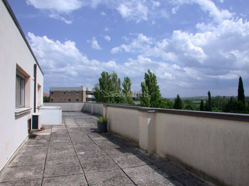 appartamento in affitto a Fano