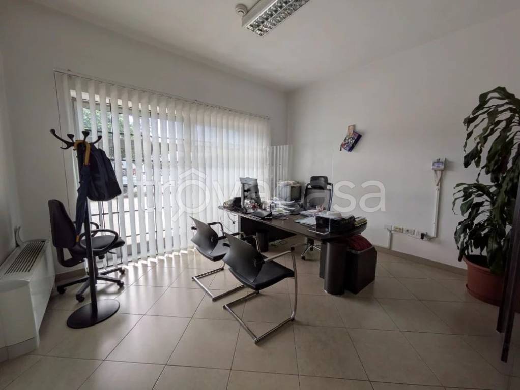 negozio in affitto a Fano