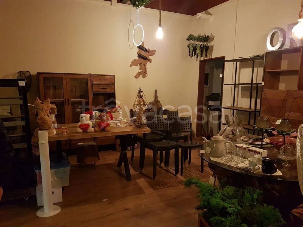trivano in affitto a Fano