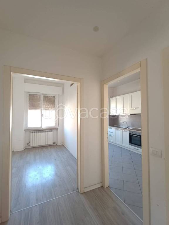 appartamento in affitto a Fano