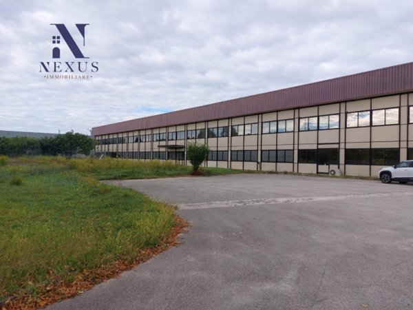 capannone in affitto a Fano in zona Bellocchi