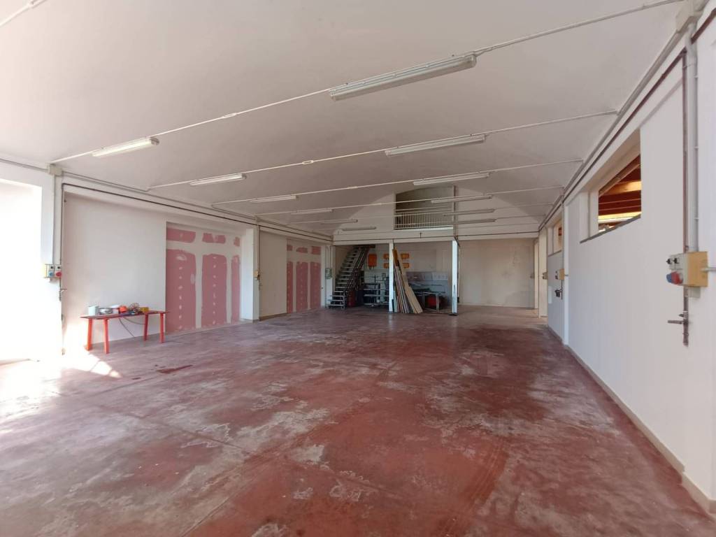 capannone in affitto a Fano in zona Carrara