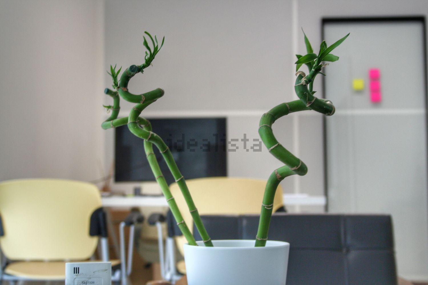 ufficio in affitto a Fano