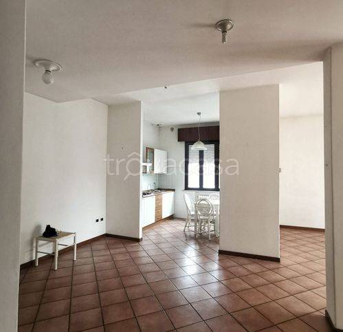 appartamento in affitto a Fano