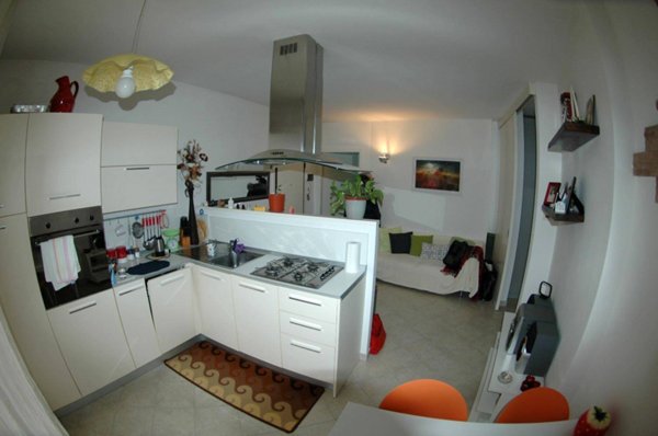 appartamento in affitto a Fano