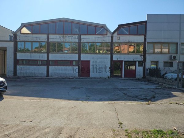 ufficio in affitto a Fano