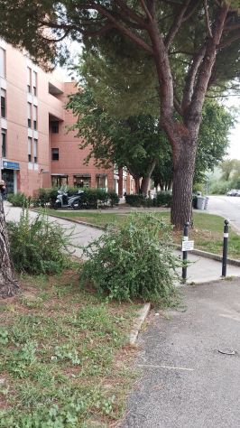 ufficio in affitto a Gabicce Mare
