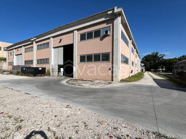 locale commerciale in affitto a Mombaroccio