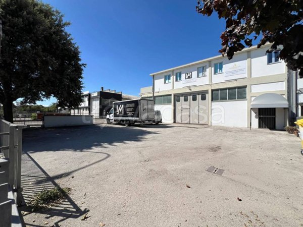 locale commerciale in affitto a Montelabbate