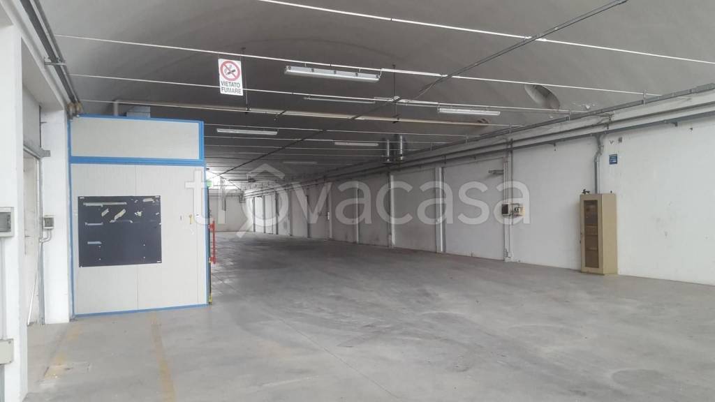 locale commerciale in affitto a Pesaro in zona Centro Città