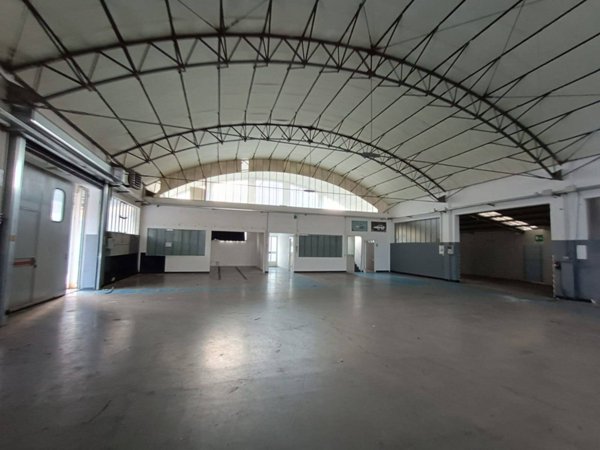 locale commerciale in affitto a Pesaro