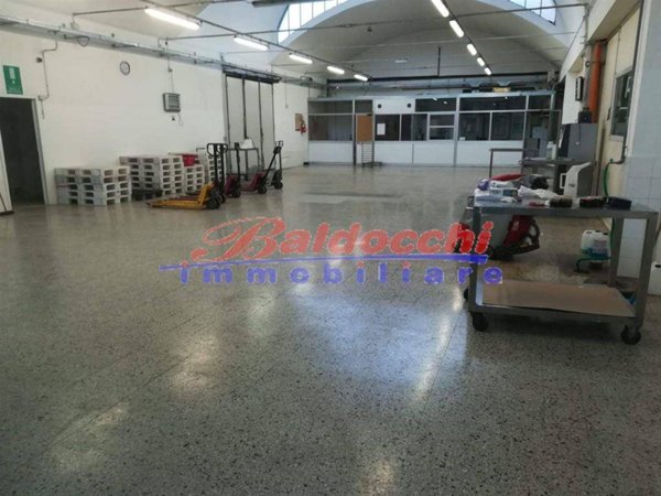 negozio in affitto a Pesaro in zona Villa Fastiggi
