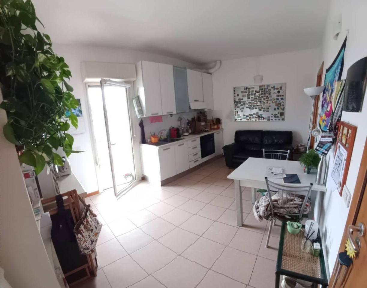 appartamento in affitto a Pesaro