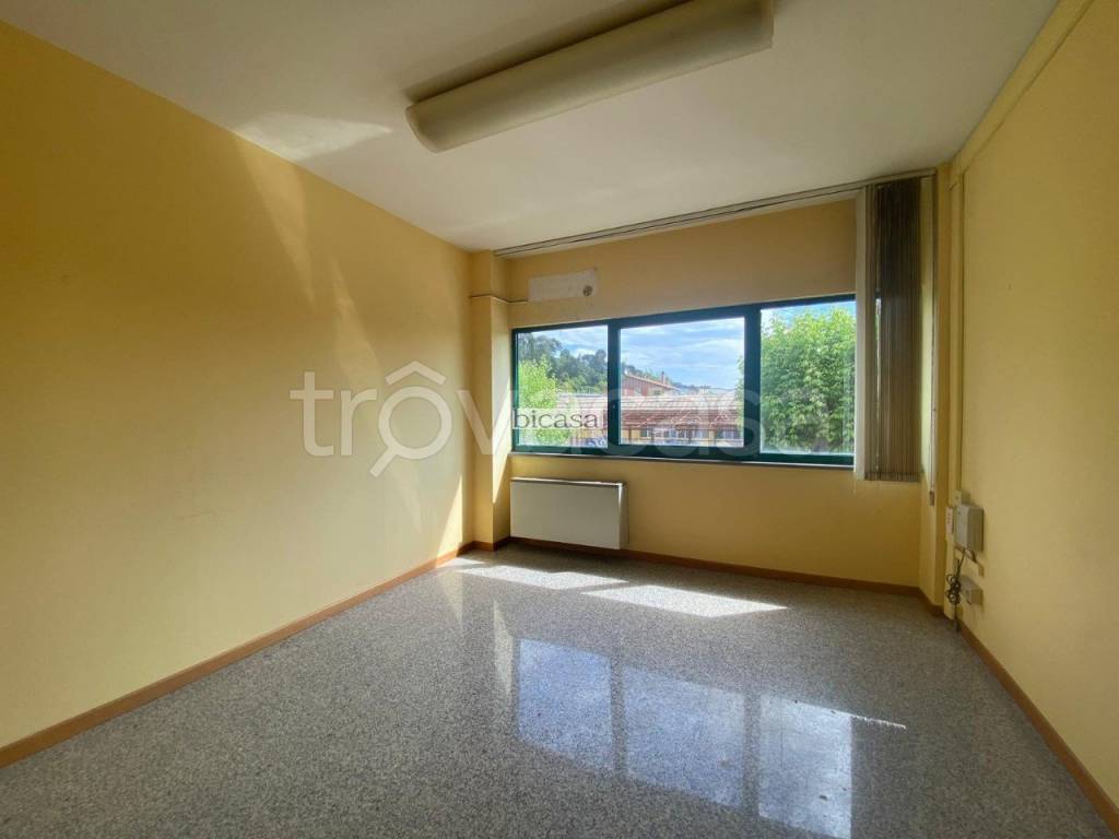 immagine annuncio 0 di 4