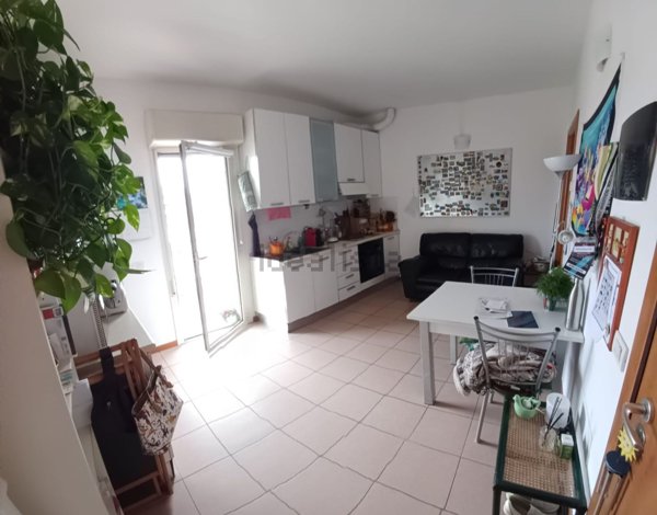 appartamento in affitto a Pesaro