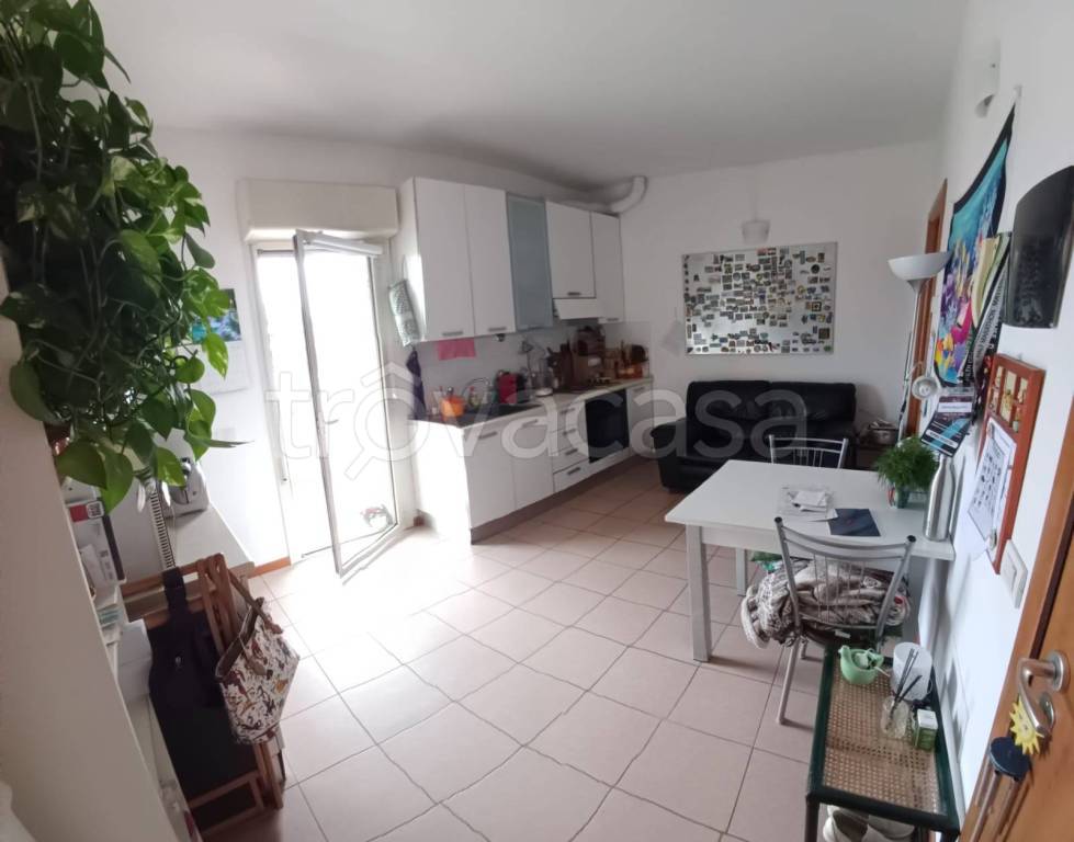 appartamento in affitto a Pesaro