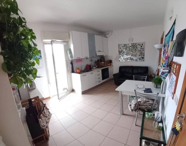 appartamento in affitto a Pesaro