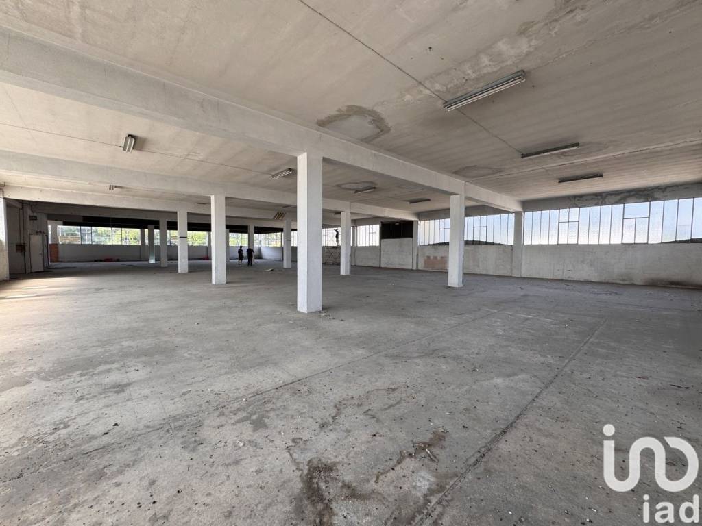 locale commerciale in affitto a Pesaro in zona Cattabrighe