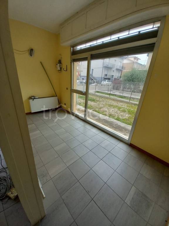 quadrivano in affitto a Pesaro