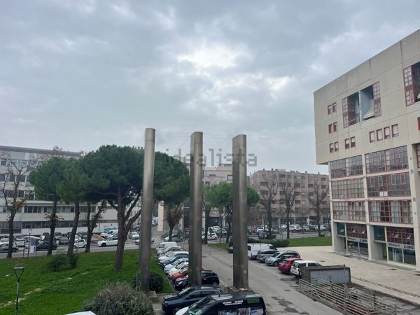 ufficio in affitto a Pesaro in zona Centro Città