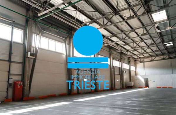 immagine annuncio 0 di 1