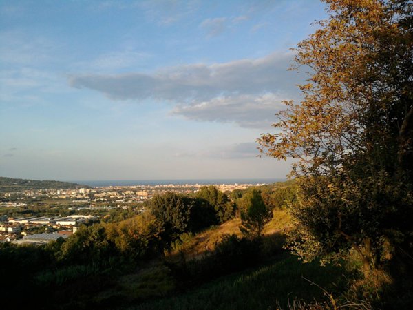 immagine annuncio 0 di 10