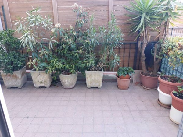 appartamento in affitto a Pesaro in zona Centro Città