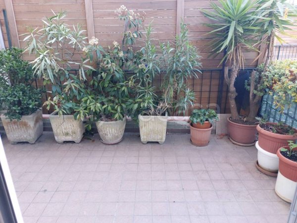 appartamento in affitto a Pesaro in zona Centro Città