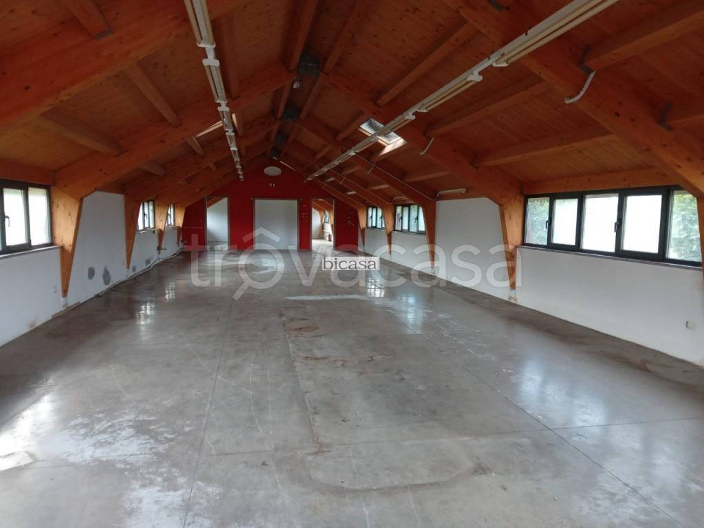 casa indipendente in affitto a Pesaro in zona Villa Fastiggi