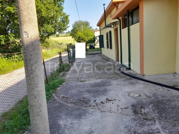 immagine annuncio 0 di 15