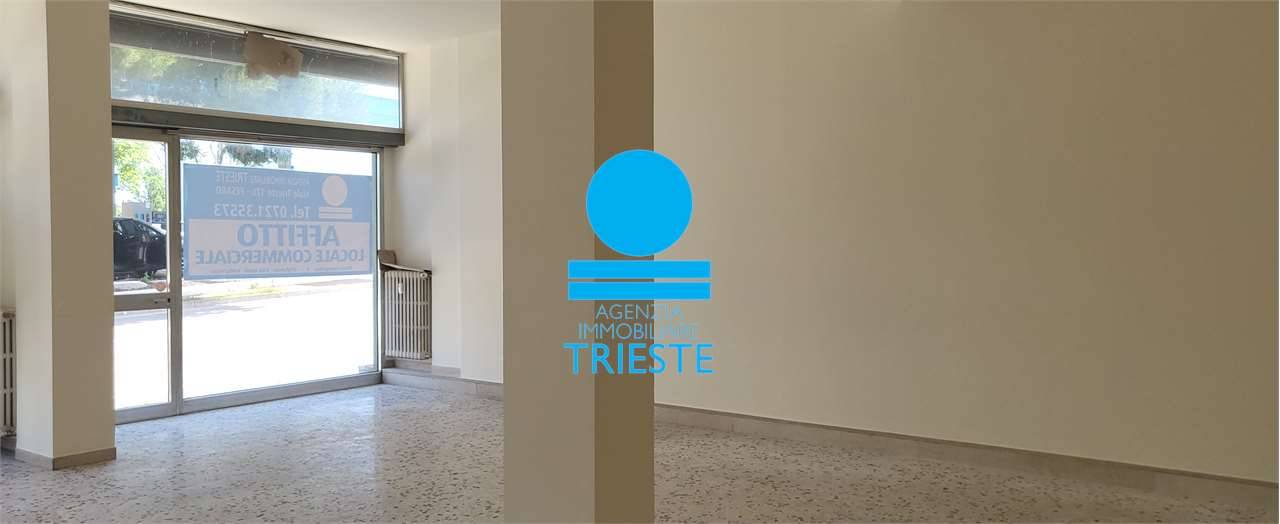 negozio in affitto a Pesaro in zona Trebbiantico