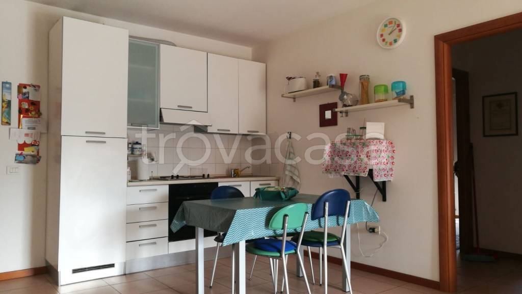 appartamento in affitto a Pesaro