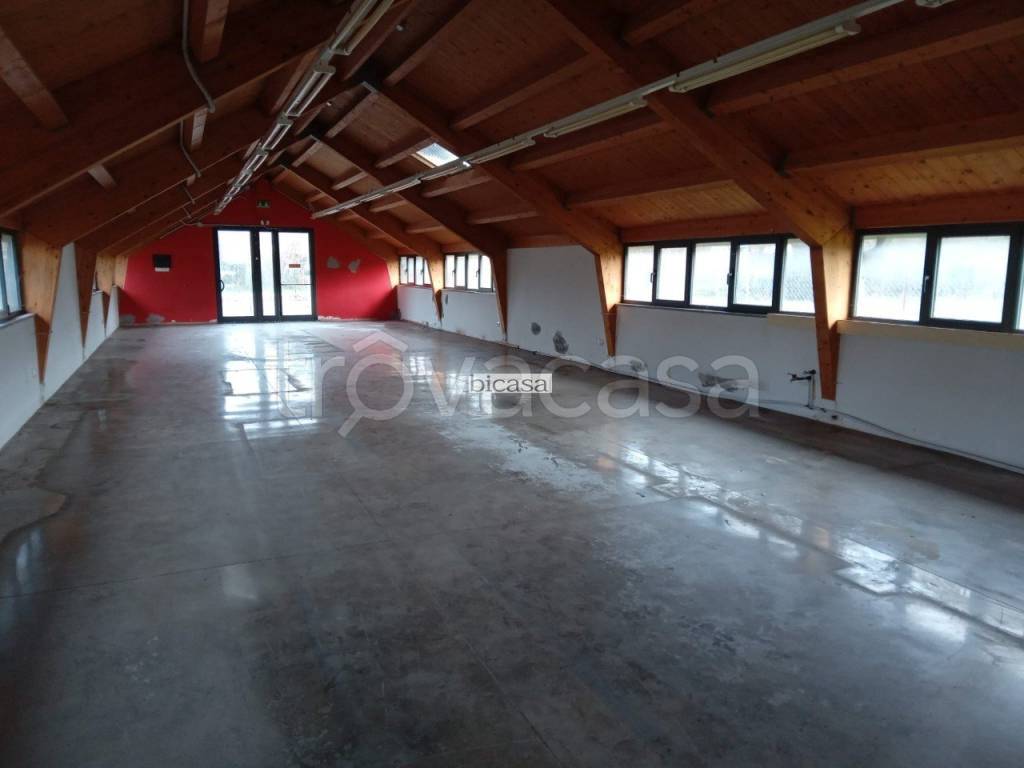 locale commerciale in affitto a Pesaro in zona Villa Fastiggi