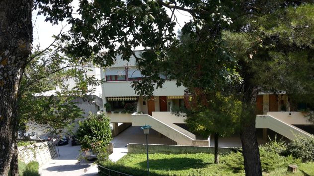 camera singola in affitto ad Urbino in zona Centro CittÃ 