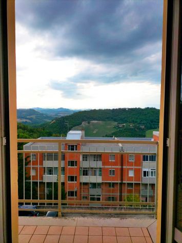 camera singola in affitto ad Urbino