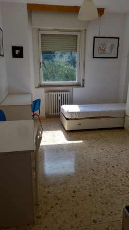 camera singola in affitto ad Urbino