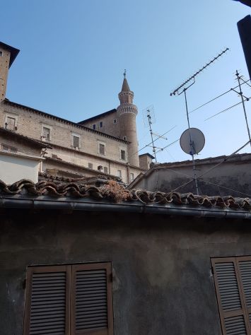 camera singola in affitto ad Urbino in zona Centro CittÃ 