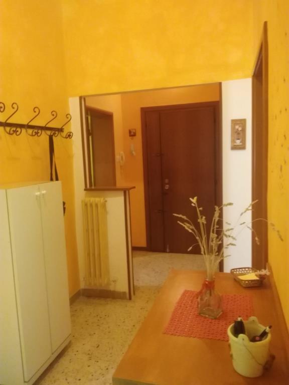 camera singola in affitto ad Urbino