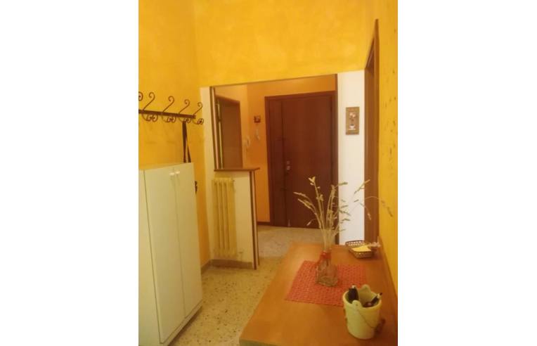 camera singola in affitto ad Urbino