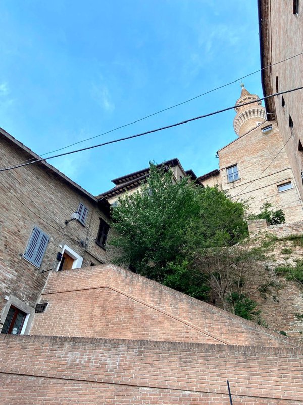 appartamento in affitto ad Urbino in zona Centro CittÃ 