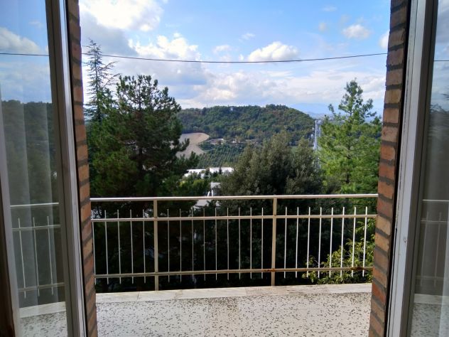 camera singola in affitto ad Urbino