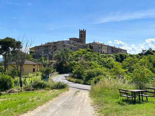 negozio in affitto a Vallefoglia in zona Montefabbri