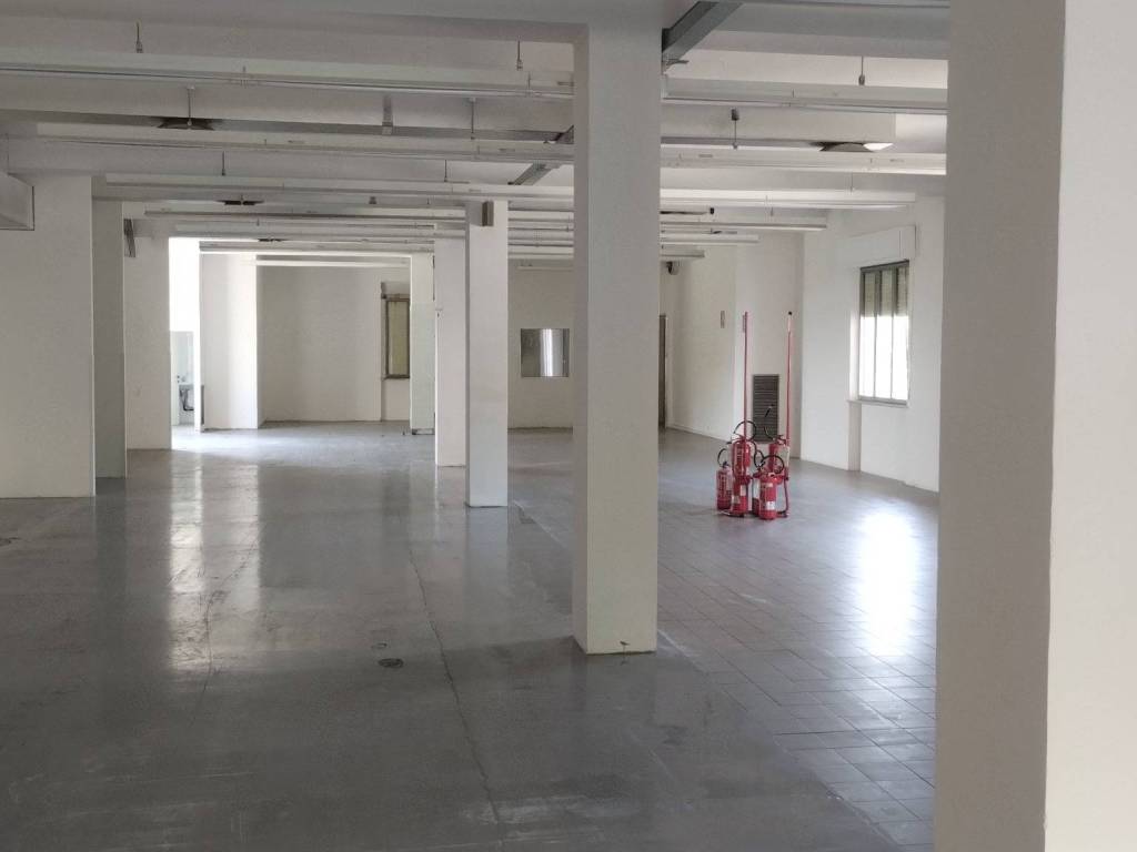 negozio in affitto a Terre Roveresche in zona Orciano di Pesaro