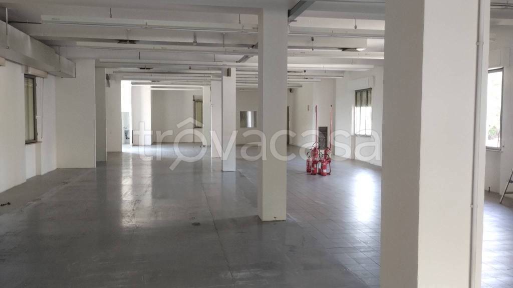 negozio in affitto a Terre Roveresche