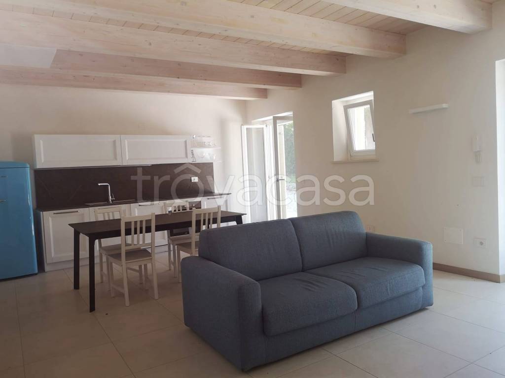 appartamento in affitto ad Ancona