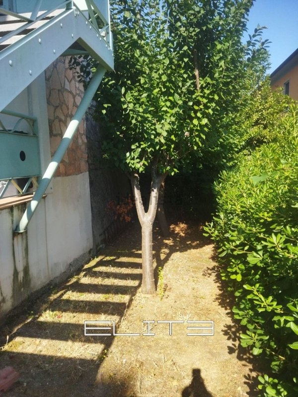 appartamento in affitto ad Ancona in zona Adriatico
